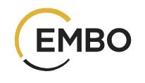EMBO logo