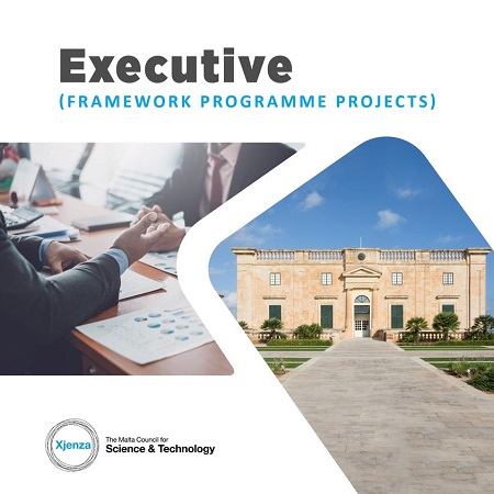 Executive (Framework Programme Projects)