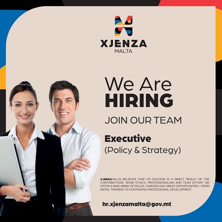 Executive (Policy & Strategy)