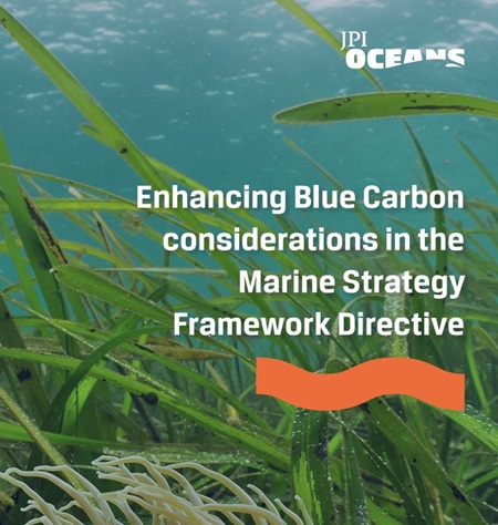 JPI Oceans - New Policy Brief launched: Enhancing Blue Carbon considerations in the Marine Strategy Framework Directive
