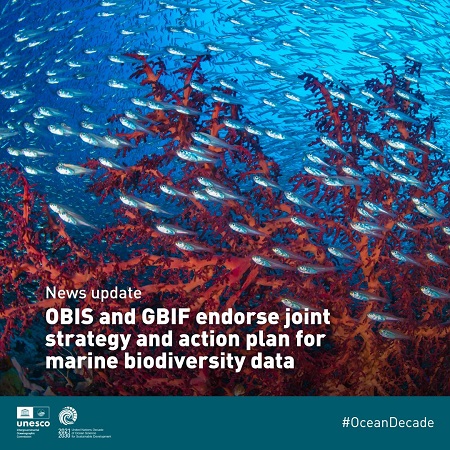 OBIS and GBIF Endorse Joint Strategy and Action Plan for Marine Biodiversity Data