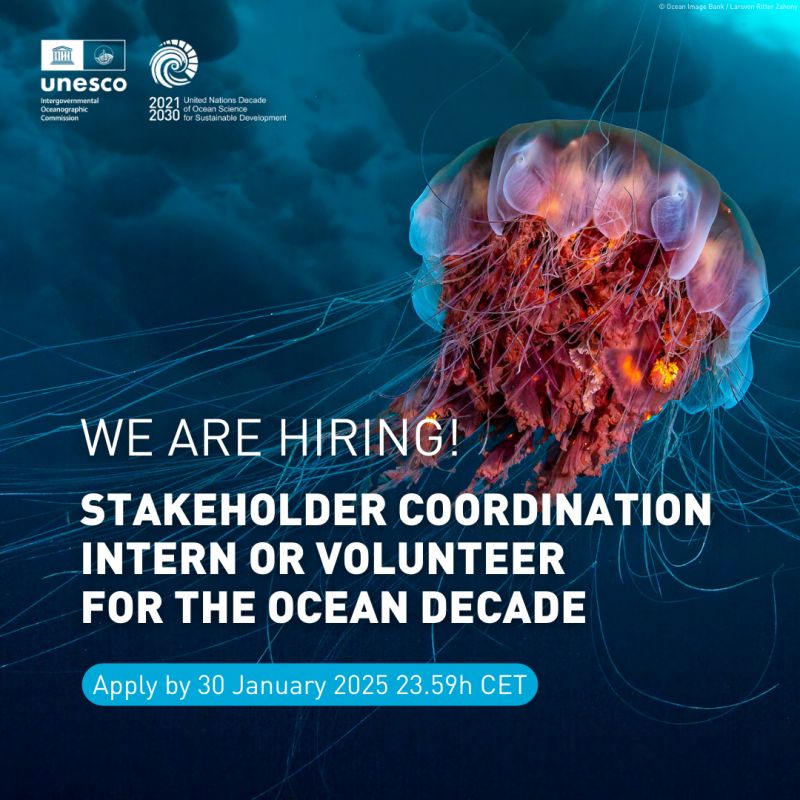 Ocean Decade Stakeholder Coordination Intern or Volunteer