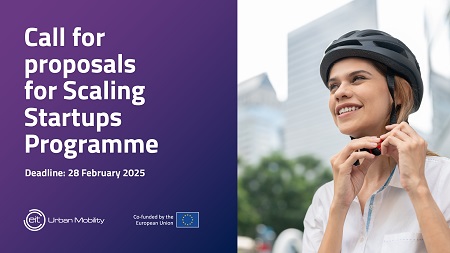 Scaling Startups Programme Call