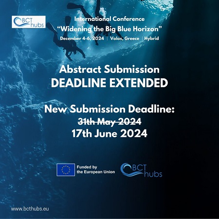 Call for Papers - Widening the Big Blue Horizon International Conference