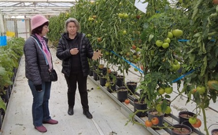 School’s Laboratory of Crop Production & Propagation Material 